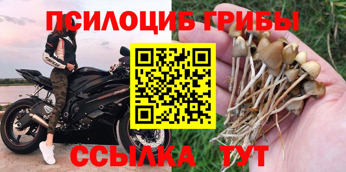 Галлюциногенные грибы ЛСД Урус-Мартан