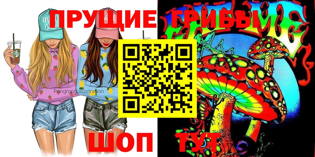что такое наркотик  Вход с VPN  Урус-Мартан  Псилоцибиновые грибы Psilocybine cubensis 
